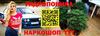 метамфетамин Краснознаменск