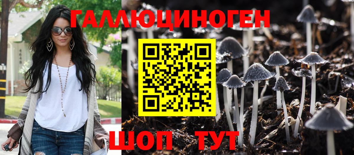 Галлюциногенные грибы MAGIC MUSHROOMS  Вход с VPN  Изобильный 