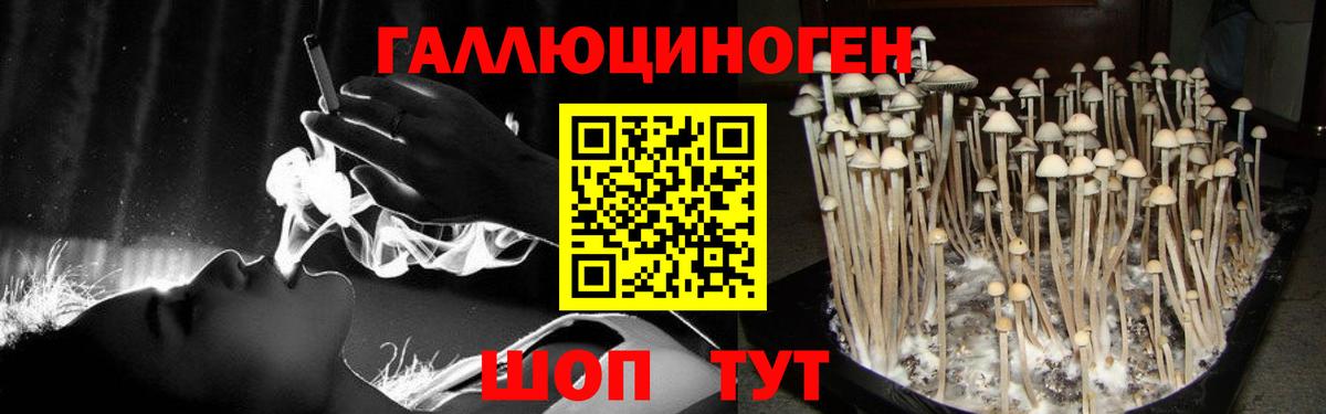 Псилоцибиновые грибы прущие грибы Изобильный